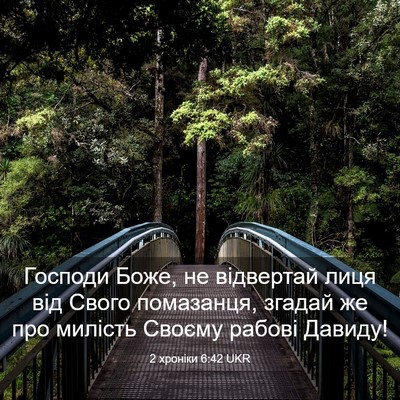 Picture 03 - 2 хроніки 6:42 UKR - Господи Боже, не відвертай - Bible Verse Picture