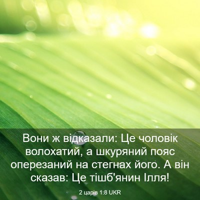 Picture 03 - 2 царів 1:8 UKR - Вони ж відказали: Це - Bible Verse Picture