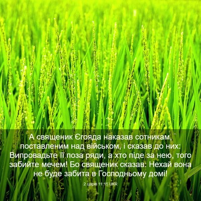 Picture 03 - 2 царів 11:15 UKR - А священик Єгояда наказав - Bible Verse Picture