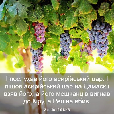 Picture 03 - 2 царів 16:9 UKR - І послухав його - Bible Verse Picture