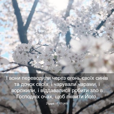Picture 03 - 2 царів 17:17 UKR - І вони переводили через - Bible Verse Picture