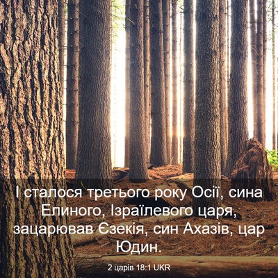 Picture 03 - 2 царів 18:1 UKR - І сталося третього року - Bible Verse Picture
