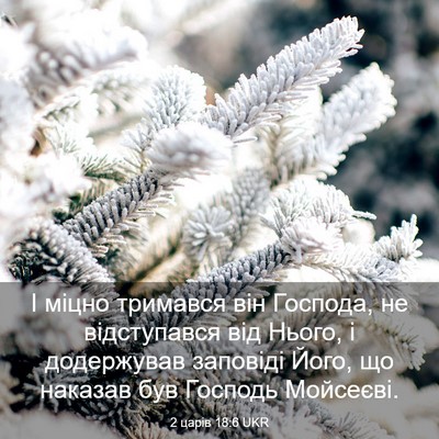 Picture 03 - 2 царів 18:6 UKR - І міцно тримався він - Bible Verse Picture