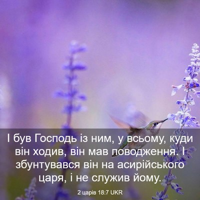 Picture 03 - 2 царів 18:7 UKR - І був Господь із ним, у - Bible Verse Picture