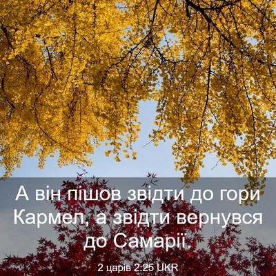 Picture 03 - 2 царів 2:25 UKR - А він пішов звідти до гори - Bible Verse Picture