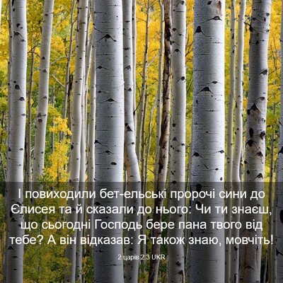 Picture 03 - 2 царів 2:3 UKR - І повиходили бет-ельські - Bible Verse Picture