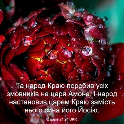 Picture 03 - 2 царів 21:24 UKR - Та народ Краю перебив усіх - Bible Verse Picture
