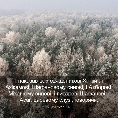 Picture 03 - 2 царів 22:12 UKR - І наказав цар священикові - Bible Verse Picture