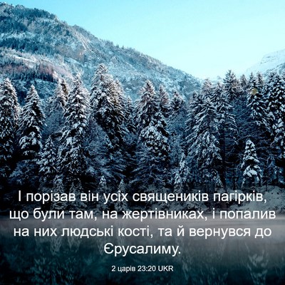 Picture 03 - 2 царів 23:20 UKR - І порізав він усіх - Bible Verse Picture