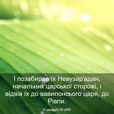 Picture 03 - 2 царів 25:20 UKR - І позабирав їх - Bible Verse Picture