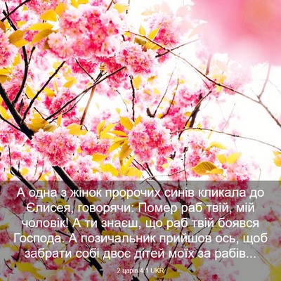 Picture 03 - 2 царів 4:1 UKR - А одна з жінок пророчих - Bible Verse Picture