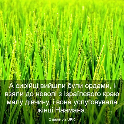 Picture 03 - 2 царів 5:2 UKR - А сирійці вийшли були - Bible Verse Picture