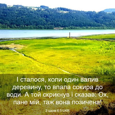 Picture 03 - 2 царів 6:5 UKR - І сталося, коли один валив - Bible Verse Picture