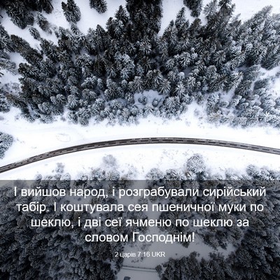 Picture 03 - 2 царів 7:16 UKR - І вийшов народ, і - Bible Verse Picture