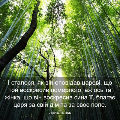 Picture 03 - 2 царів 8:5 UKR - І сталося, як він оповідав - Bible Verse Picture