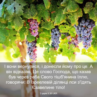 Picture 03 - 2 царів 9:36 UKR - І вони вернулися, і донесли - Bible Verse Picture