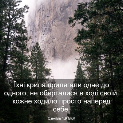 Picture 03 - Єзекіїль 1:9 UKR - Їхні крила прилягали одне - Bible Verse Picture