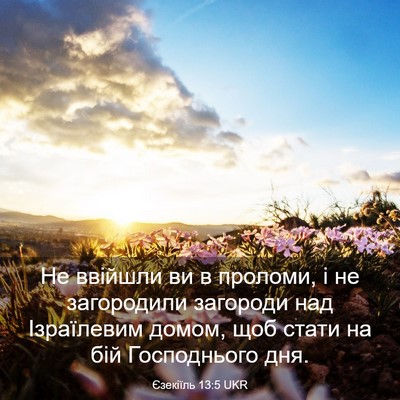 Picture 03 - Єзекіїль 13:5 UKR - Не ввійшли ви в проломи, і - Bible Verse Picture