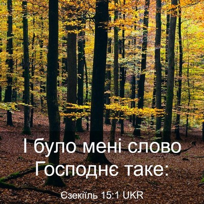 Picture 03 - Єзекіїль 15:1 UKR - І було мені слово Господнє - Bible Verse Picture