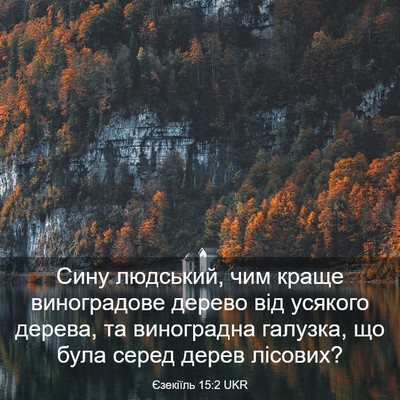Picture 03 - Єзекіїль 15:2 UKR - Сину людський, чим краще - Bible Verse Picture