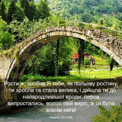 Picture 03 - Єзекіїль 16:7 UKR - Рости ж, зробив Я тебе, як - Bible Verse Picture
