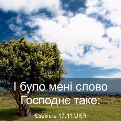 Picture 03 - Єзекіїль 17:11 UKR - І було мені слово Господнє - Bible Verse Picture