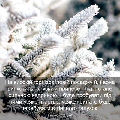 Picture 03 - Єзекіїль 17:23 UKR - На високій горі Ізраїлевій - Bible Verse Picture