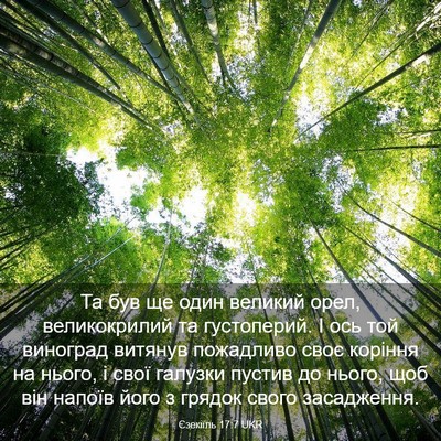 Picture 03 - Єзекіїль 17:7 UKR - Та був ще один великий - Bible Verse Picture