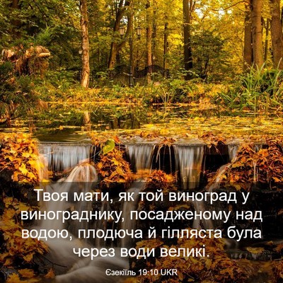 Picture 03 - Єзекіїль 19:10 UKR - Твоя мати, як той виноград - Bible Verse Picture