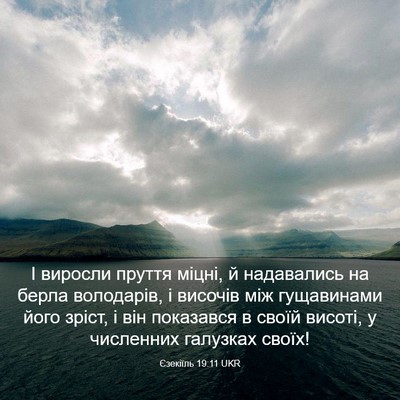 Picture 03 - Єзекіїль 19:11 UKR - І виросли пруття міцні, й - Bible Verse Picture