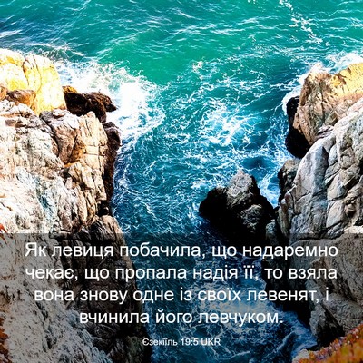 Picture 03 - Єзекіїль 19:5 UKR - Як левиця побачила, що - Bible Verse Picture