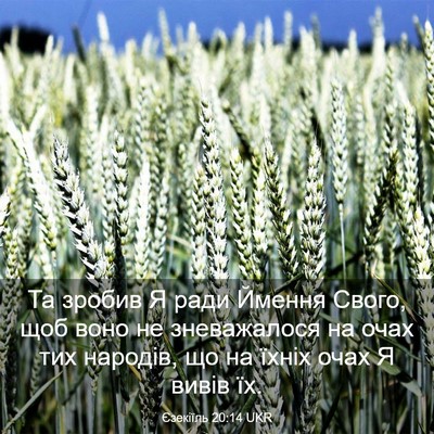 Picture 03 - Єзекіїль 20:14 UKR - Та зробив Я ради Ймення - Bible Verse Picture