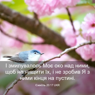 Picture 03 - Єзекіїль 20:17 UKR - І змилувалось Моє око над - Bible Verse Picture