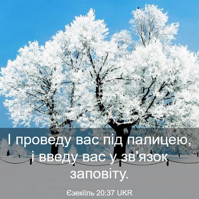 Picture 03 - Єзекіїль 20:37 UKR - І проведу вас під палицею, - Bible Verse Picture
