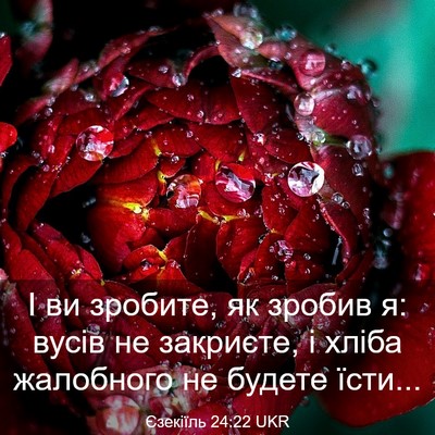 Picture 03 - Єзекіїль 24:22 UKR - І ви зробите, як зробив я: - Bible Verse Picture