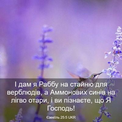 Picture 03 - Єзекіїль 25:5 UKR - І дам я Раббу на стайню для - Bible Verse Picture