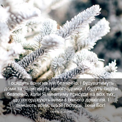 Picture 03 - Єзекіїль 28:26 UKR - І осядуть вони на ній - Bible Verse Picture