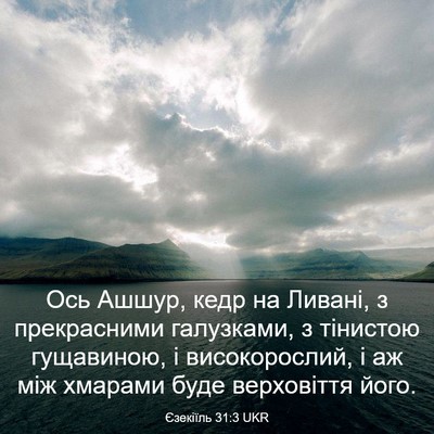 Picture 03 - Єзекіїль 31:3 UKR - Ось Ашшур, кедр на Ливані, з - Bible Verse Picture