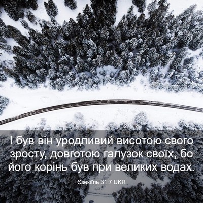Picture 03 - Єзекіїль 31:7 UKR - І був він уродливий - Bible Verse Picture
