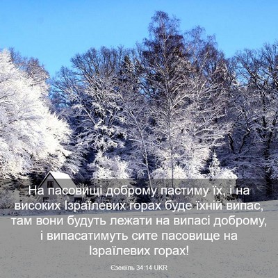 Picture 03 - Єзекіїль 34:14 UKR - На пасовищі доброму - Bible Verse Picture