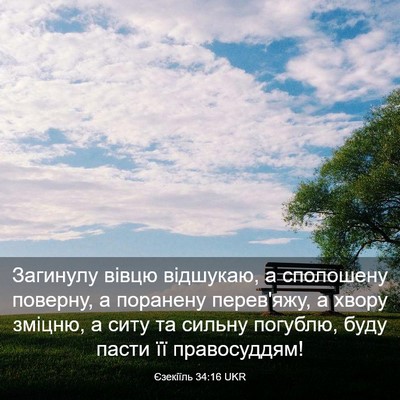 Picture 03 - Єзекіїль 34:16 UKR - Загинулу вівцю відшукаю, а - Bible Verse Picture