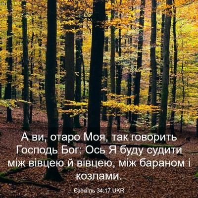 Picture 03 - Єзекіїль 34:17 UKR - А ви, отаро Моя, так - Bible Verse Picture