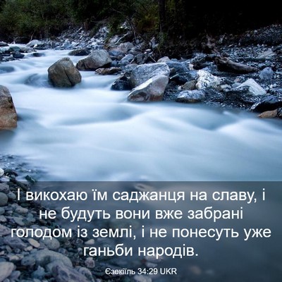 Picture 03 - Єзекіїль 34:29 UKR - І викохаю їм саджанця на - Bible Verse Picture