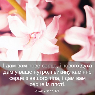 Picture 03 - Єзекіїль 36:26 UKR - І дам вам нове серце, і - Bible Verse Picture