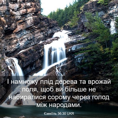 Picture 03 - Єзекіїль 36:30 UKR - І намножу плід дерева та - Bible Verse Picture