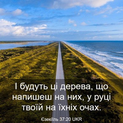 Picture 03 - Єзекіїль 37:20 UKR - І будуть ці дерева, що - Bible Verse Picture