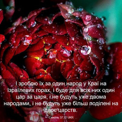 Picture 03 - Єзекіїль 37:22 UKR - І зроблю їх за один народ у - Bible Verse Picture
