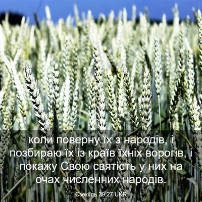 Picture 03 - Єзекіїль 39:27 UKR - коли поверну їх з народів, - Bible Verse Picture