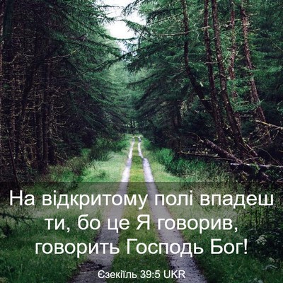 Picture 03 - Єзекіїль 39:5 UKR - На відкритому полі впадеш - Bible Verse Picture