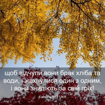 Picture 03 - Єзекіїль 4:17 UKR - щоб відчули вони брак - Bible Verse Picture